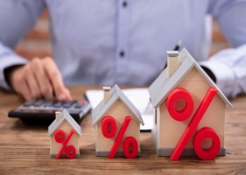 6c2f26cffa23ddbb00858a057c6140a9_galeria