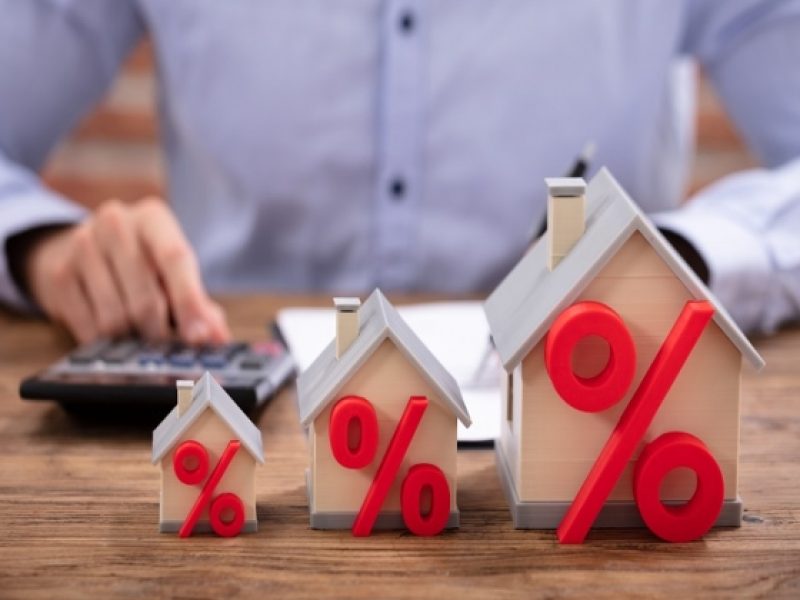 6c2f26cffa23ddbb00858a057c6140a9_galeria