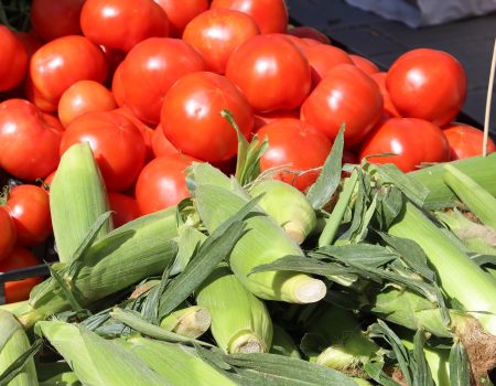 feira condomínio entenda funciona
